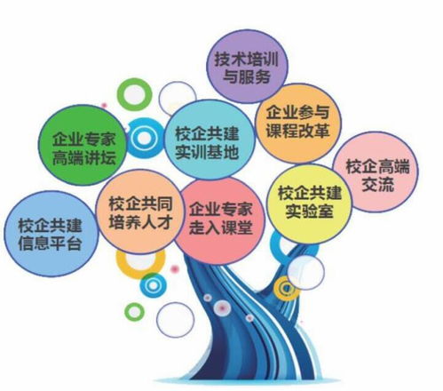 三門峽職業(yè)技術(shù)學(xué)院 計(jì)算機(jī)軟件技術(shù)開發(fā)專業(yè)的優(yōu)勢與前景